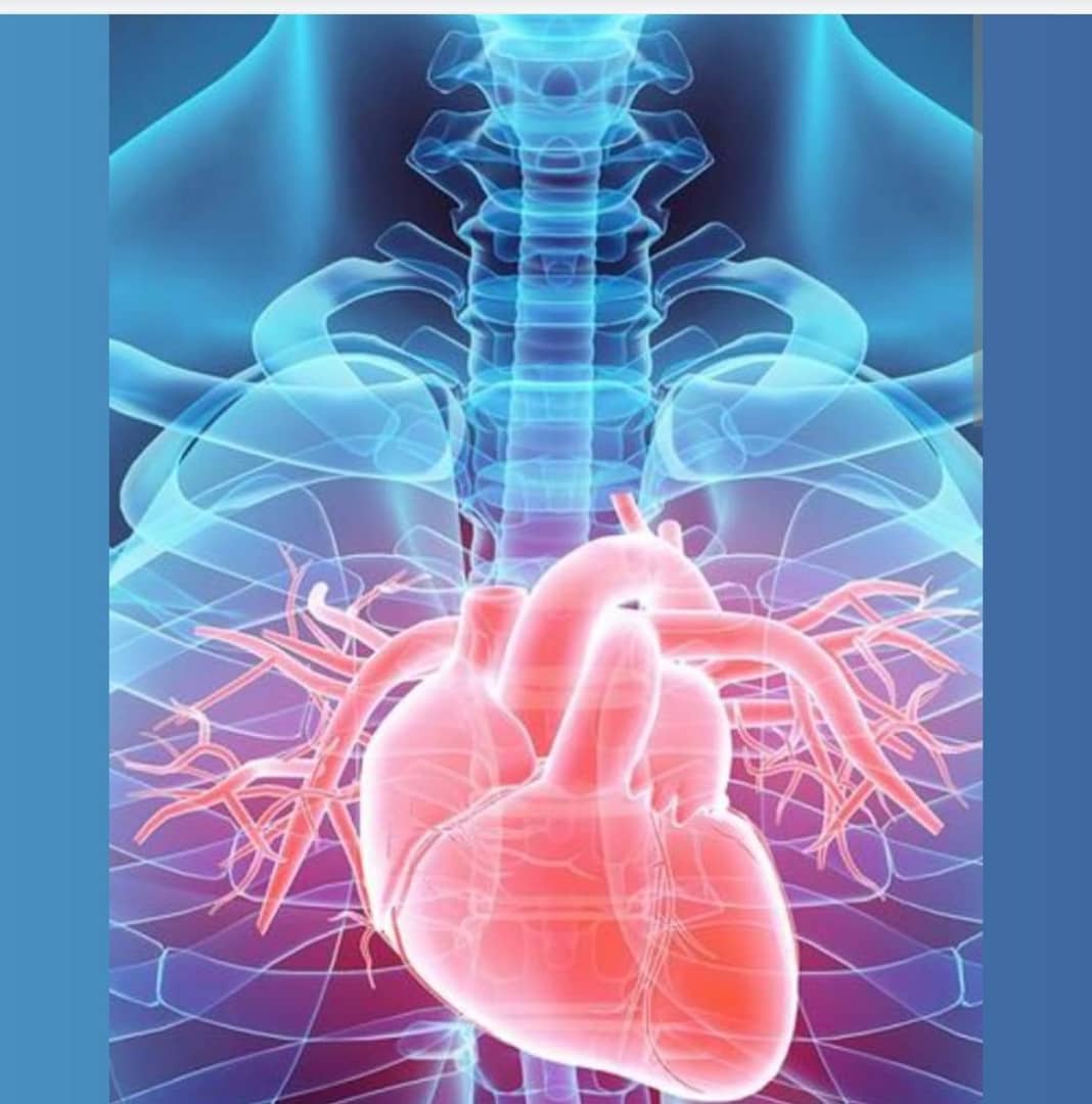 Image pour Cardiologie